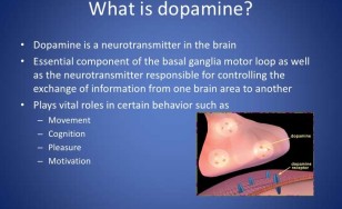 dopamine-2-728-728x445